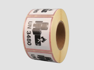 Zebra Etiketten - Paperlabels - UN 3480 - 100x100mm - rol à 1.000 stuks - Permanent